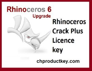 rhino 6 with crack